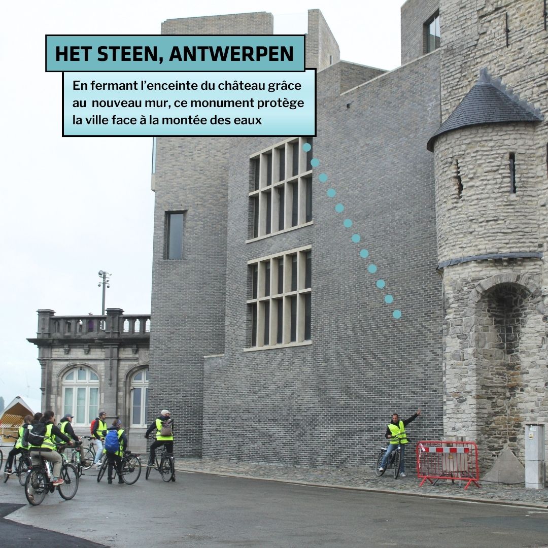 Het Steen, Antwerpen