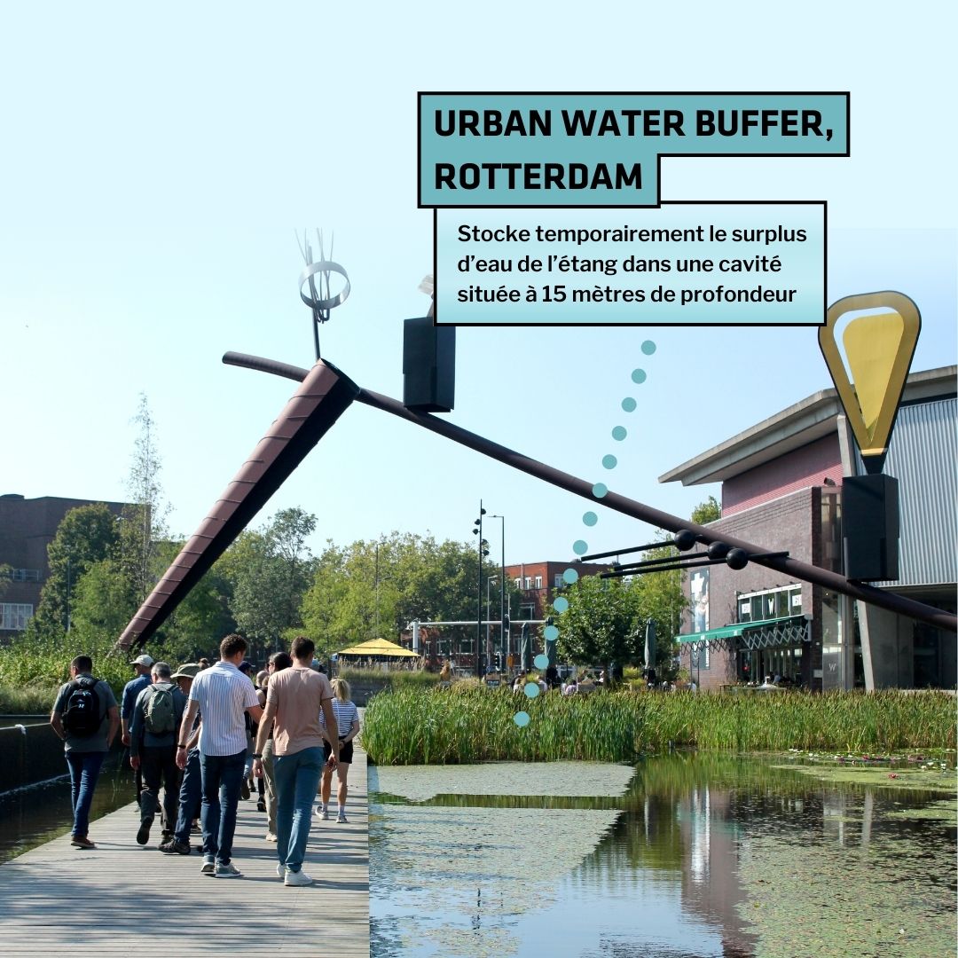 Urban water buffer, Rotterdam