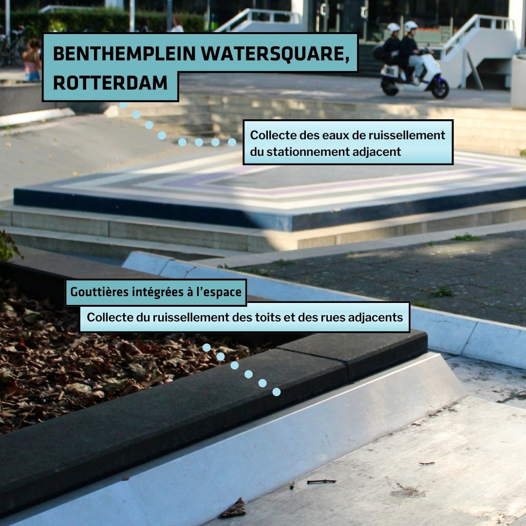 Collecte des eaux de ruissellement du stationnement et gouttières intégrées à l’espace pour le ruissellement des toits |  Benthemplein, Watersquare  à Rotterdam